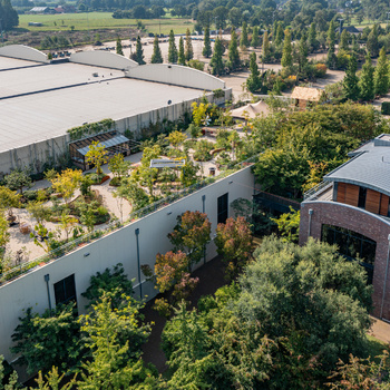 Groen op daken & gevels