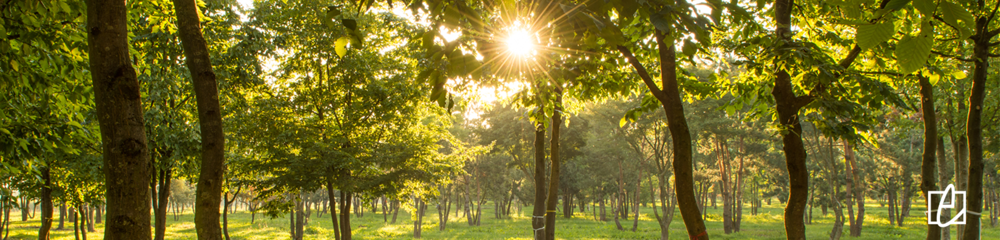 Werk mee aan een groene wereld