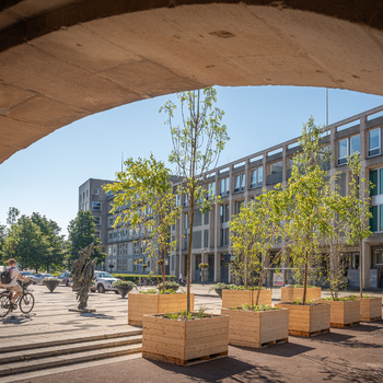 Bewegend stadsbos, Arnhem