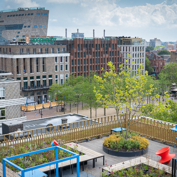 Roof garden Belsimpel, Groningen