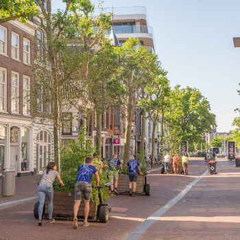 BOSK, Leeuwarden