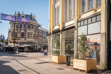 Arnhem-bewegend bos-240626-29