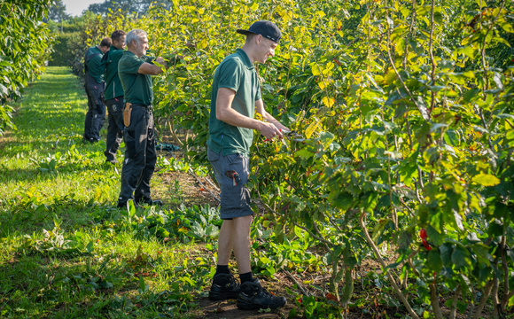 (Junior) Medewerker Kwekerij