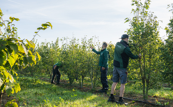 Zaterdag oproepkracht