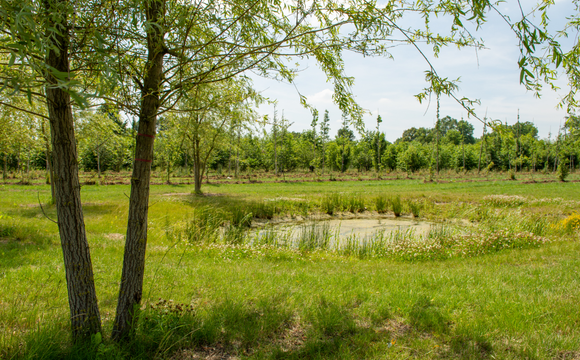 Boosting biodiversity