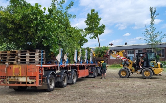 Logistiek Medewerker