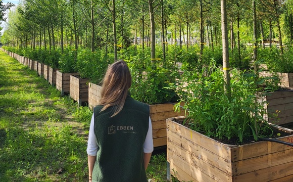 Open sollicitatie groentalenten